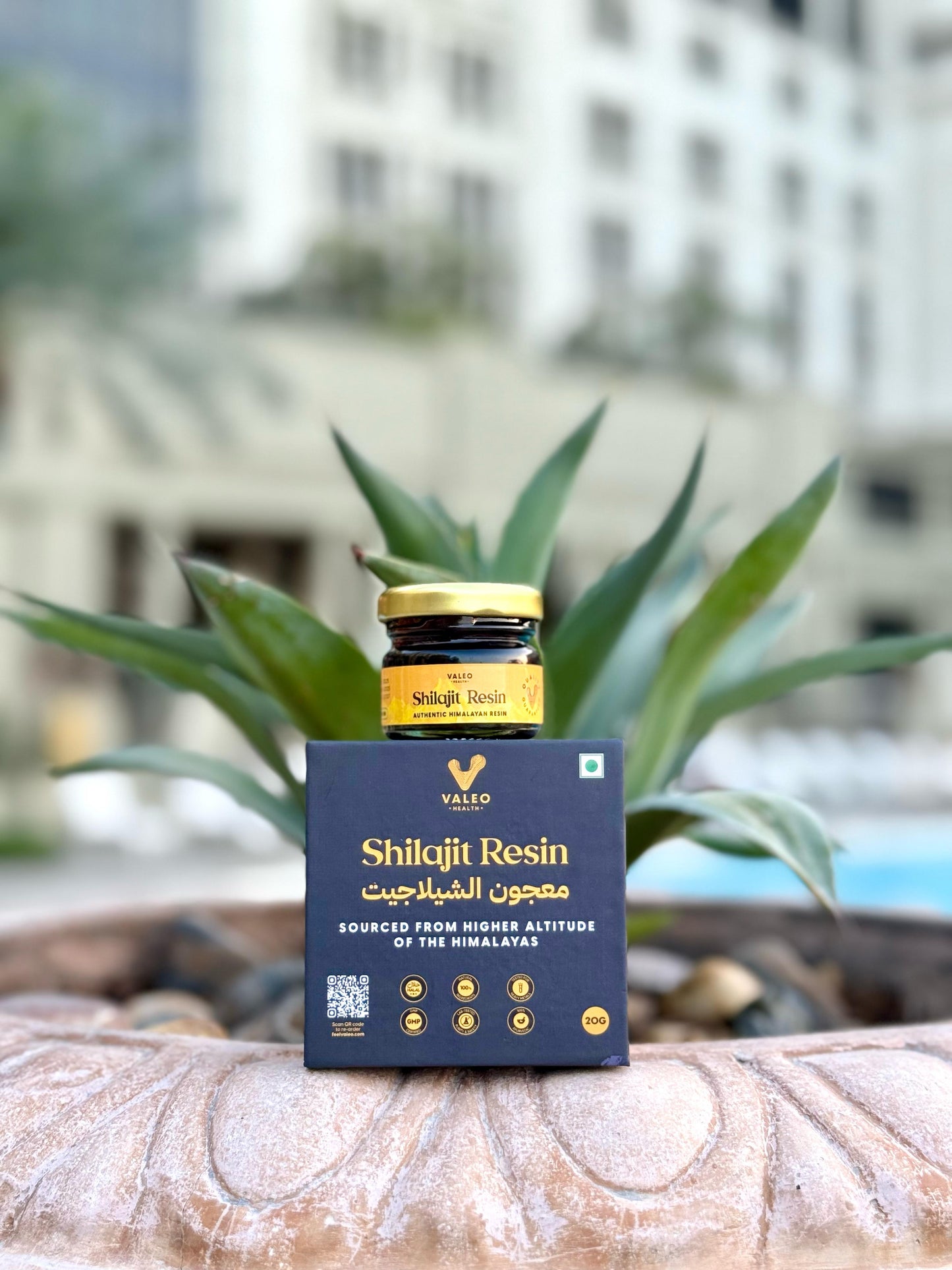 Shilajit Pure 100% Himalaya Original Himalayan Resin Brain Skin Beauty Health