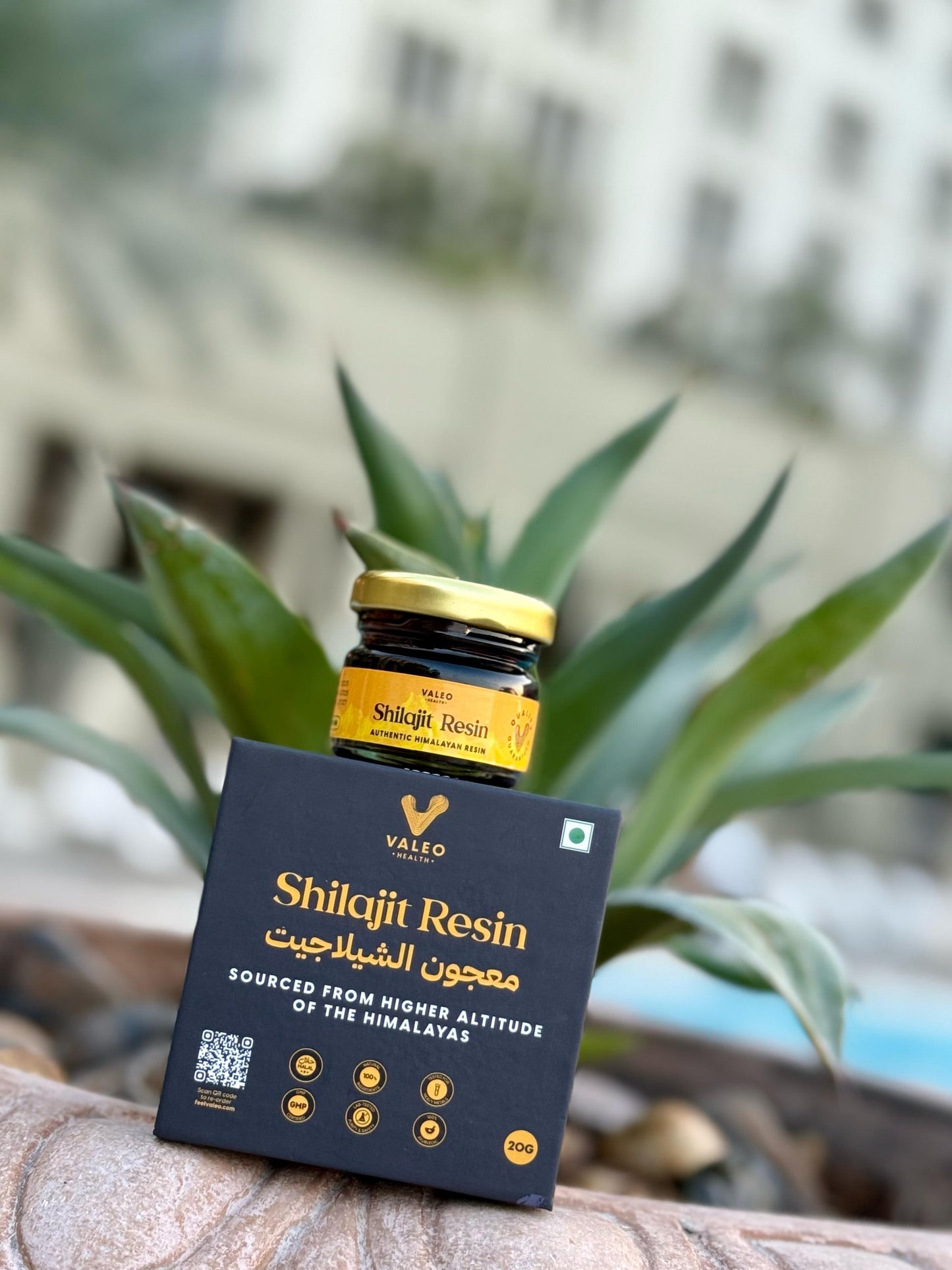 Shilajit Pure 100% Himalaya Original Himalayan Resin Brain Skin Beauty Health