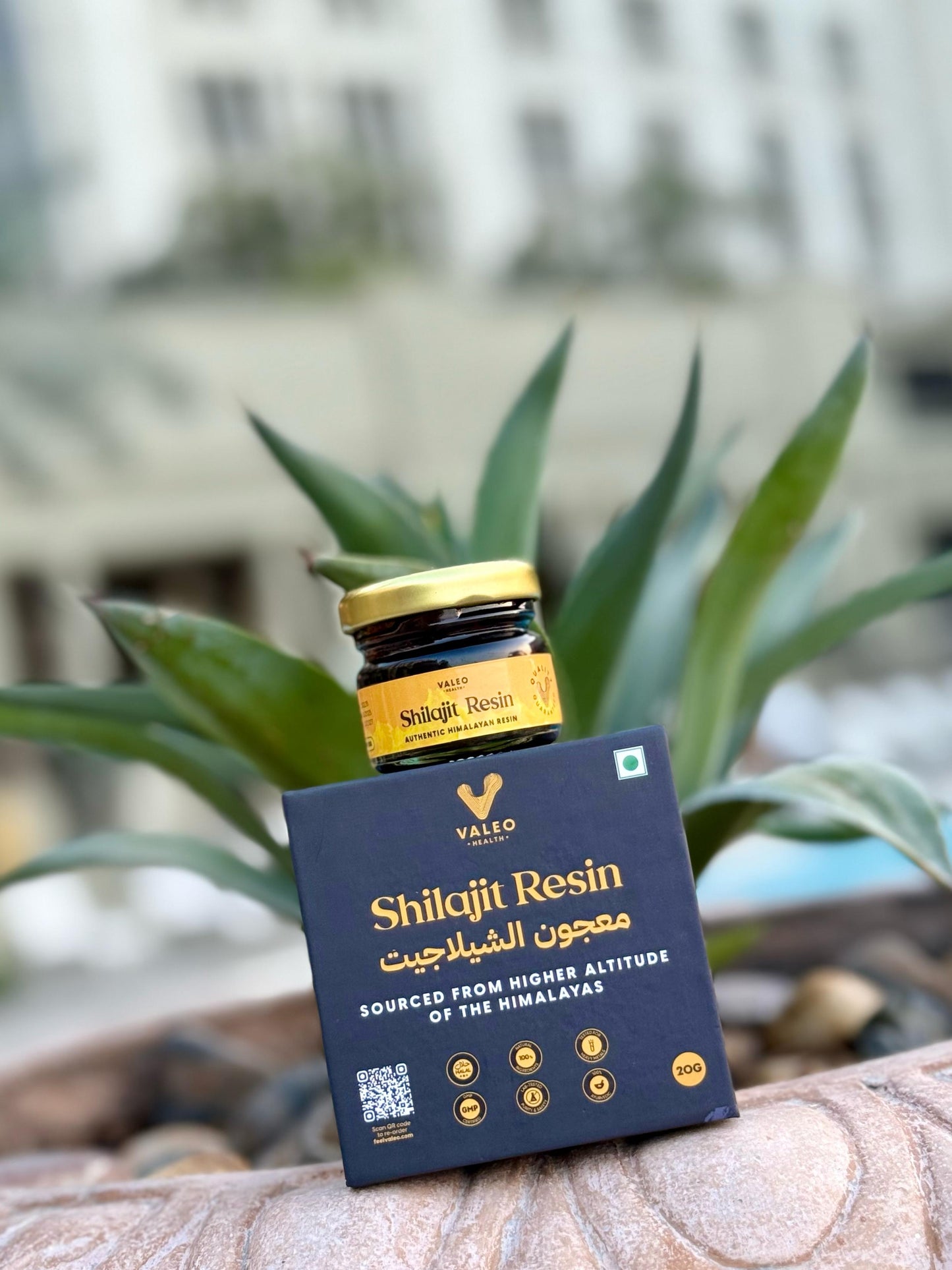 Shilajit Pure 100% Himalaya Original Himalayan Resin Brain Skin Beauty Health
