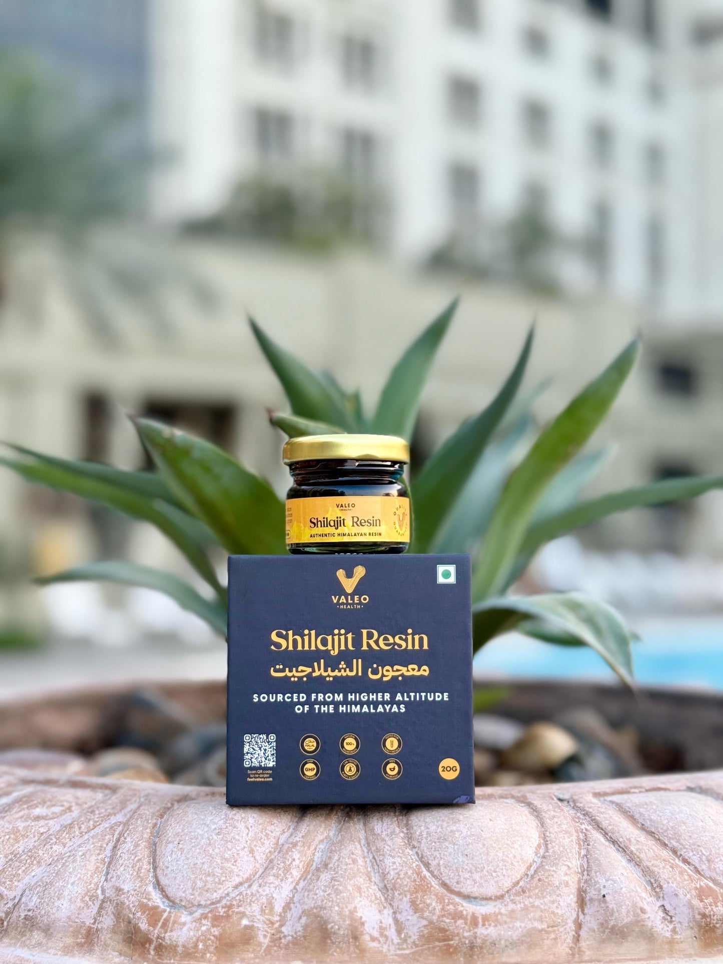 Shilajit Pure 100% Himalaya Original Himalayan Resin Brain Skin Beauty Health